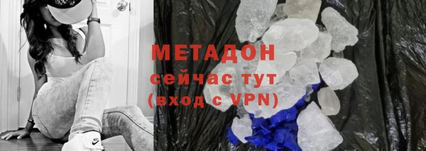 хмурый Аркадак