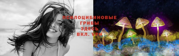 кокаин Арсеньев