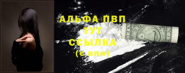 хмурый Аркадак