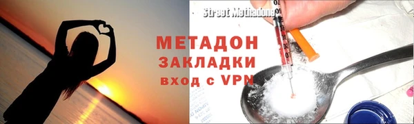 хмурый Аркадак