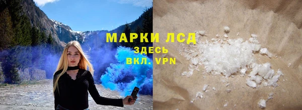 хмурый Аркадак