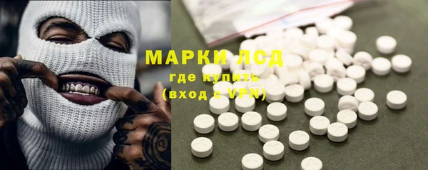 хмурый Аркадак